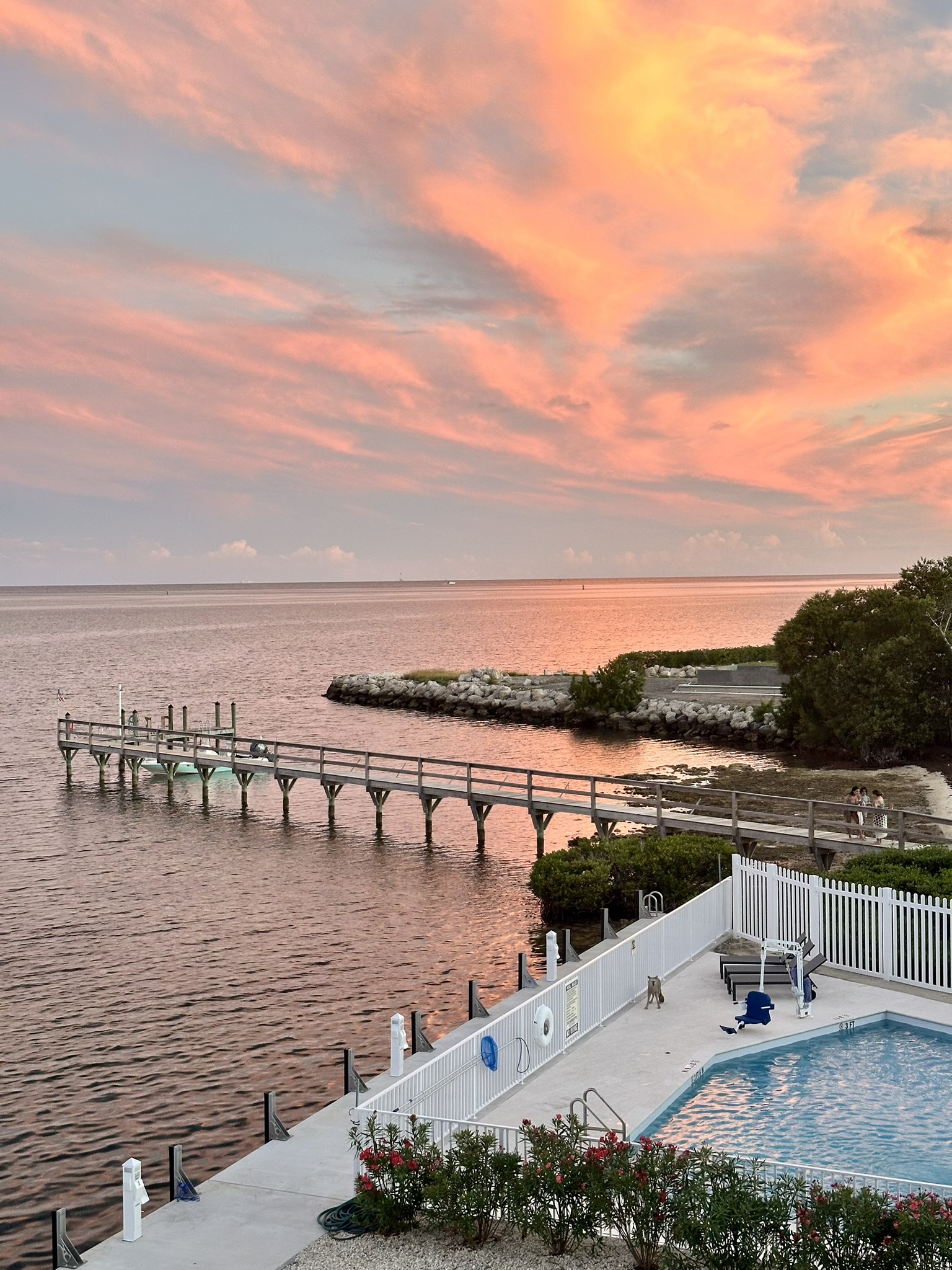 Why Paradise Palms Costs More—And Why Guests Say It’s Worth Every Penny