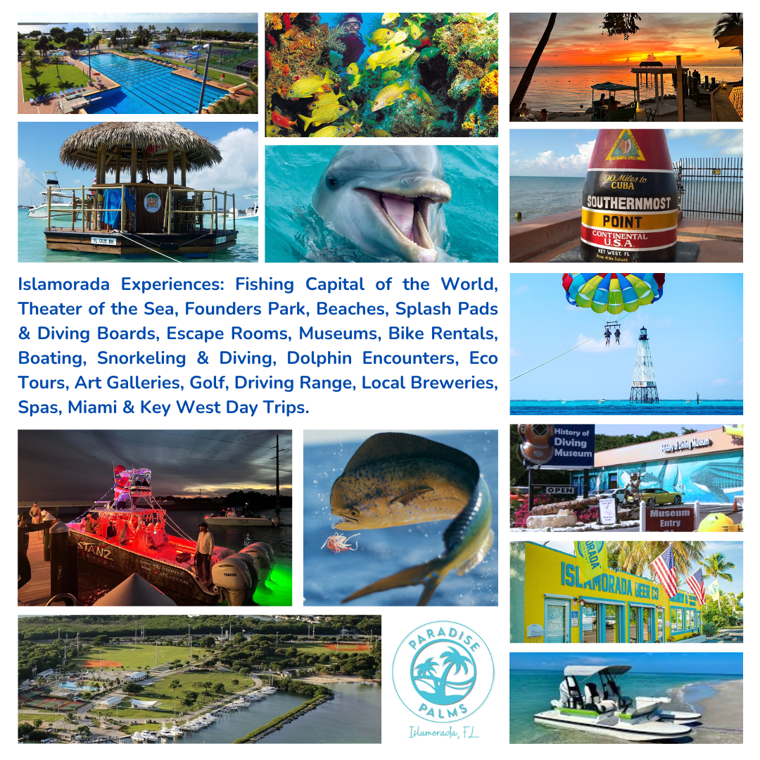 Endless activities for all at Paradise Palms.